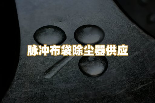 脉冲布袋除尘器供应